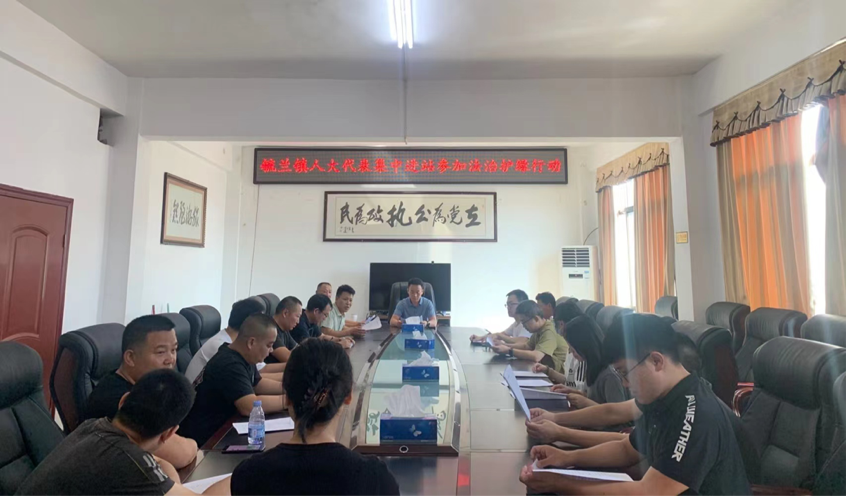 洞口县毓兰镇：人大代表集中进站参加法治护绿行动