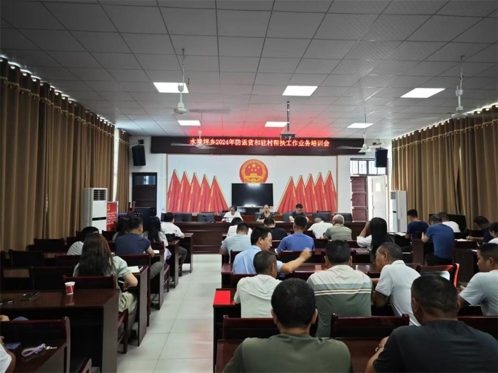 武冈市水浸坪乡召开防返贫监测与驻村帮扶工作业务培训会