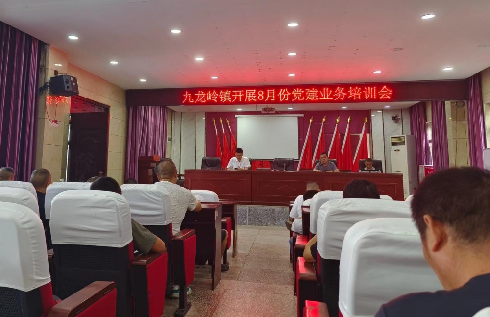 邵东市九龙岭镇召开8月份党建工作业务培训会