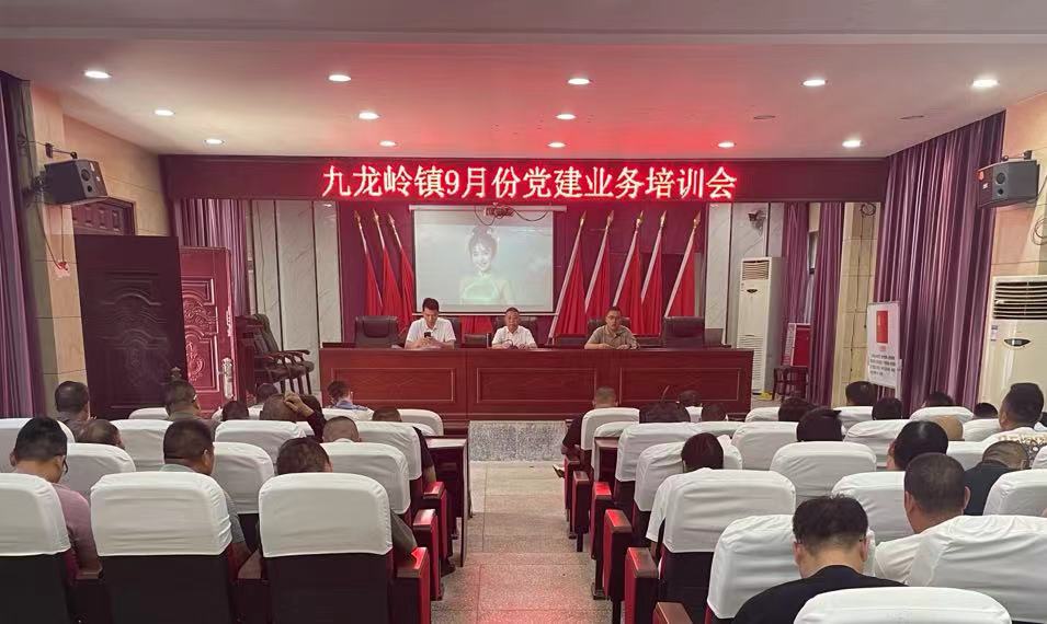 邵东市九龙岭镇召开9月份党建工作业务培训会