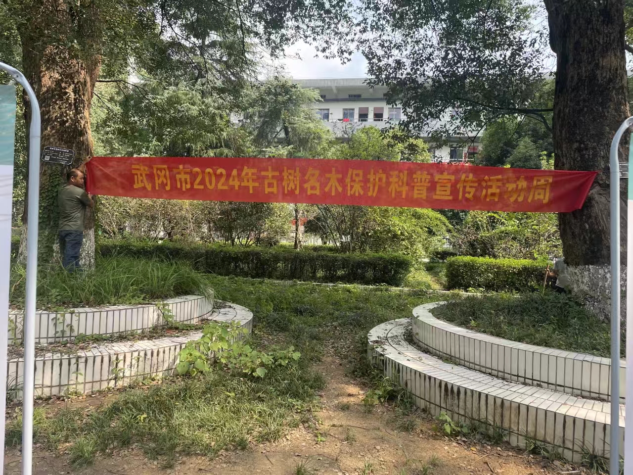 武冈市林业局开展古树名木保护科普宣传活动