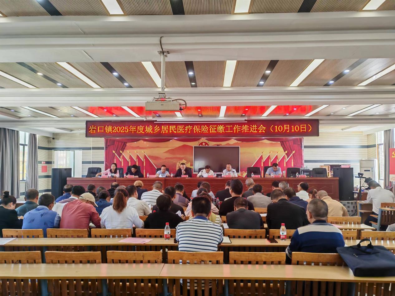 隆回县岩口镇召开2025年两险征缴工作推进会