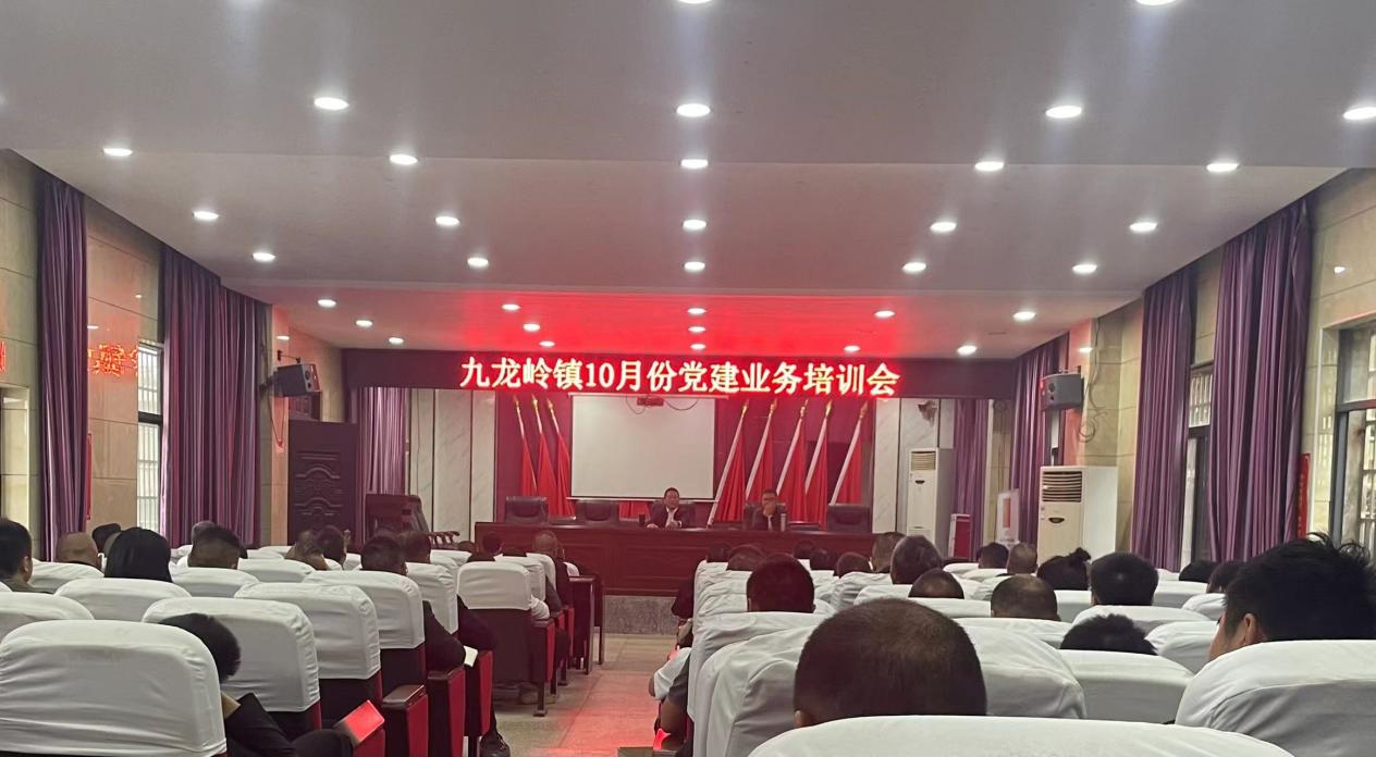 邵东市九龙岭镇召开10月份党建工作业务培训会