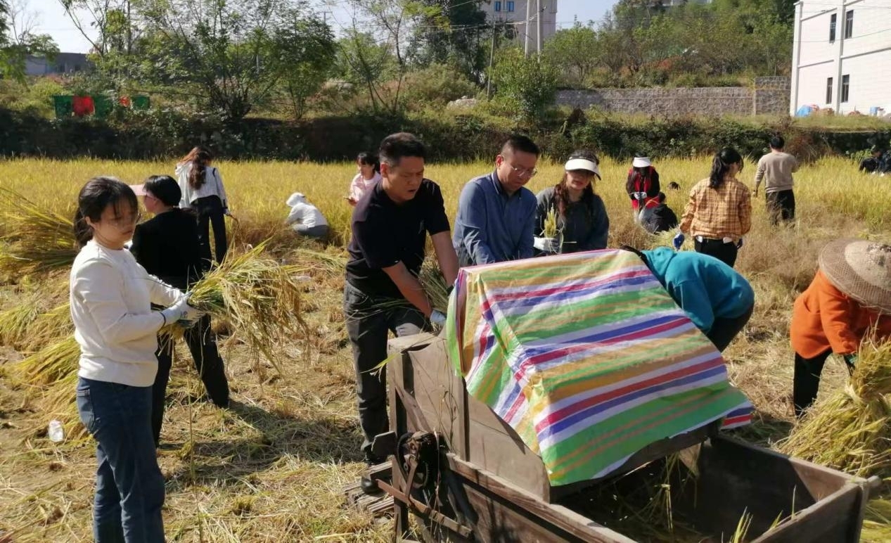 邵东市牛马司镇：以实践促学习，厚植“爱我邵东”沃土