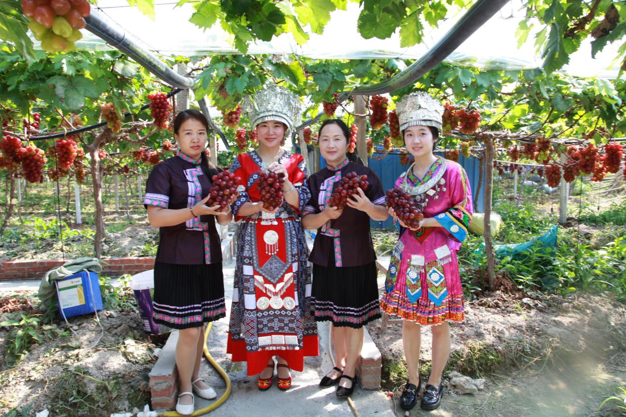 绥宁县东山乡：发挥人大代表作用，助推乡村振兴