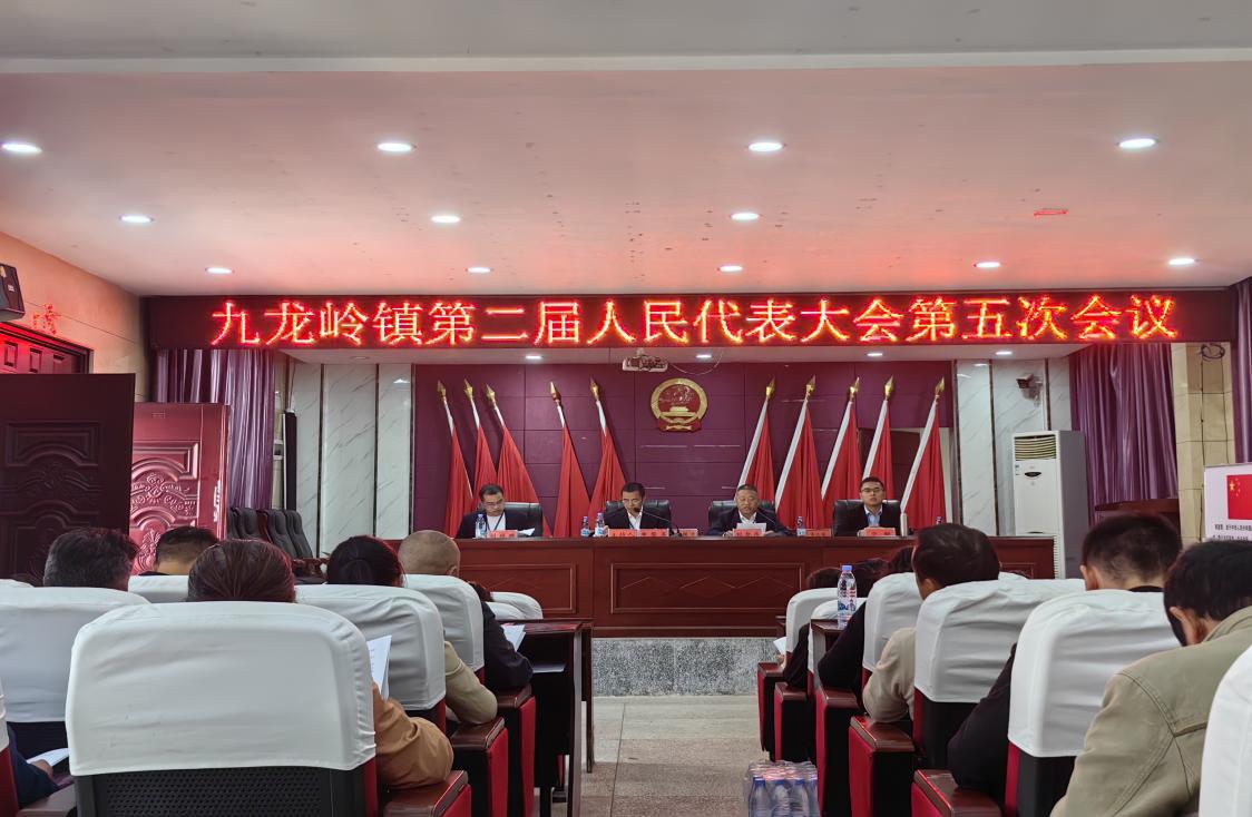 邵东市九龙岭镇召开第二届人民代表大会第五次会议
