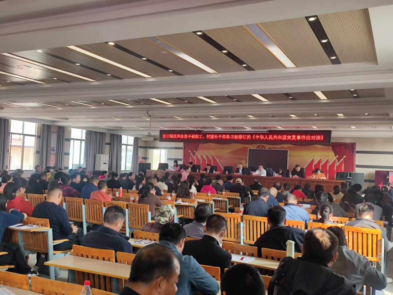 隆回县岩口镇召开安全生产工作调度会议