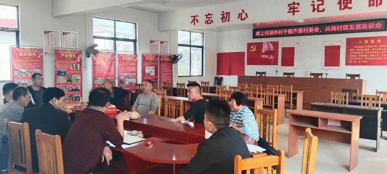 洞口县江口镇畔上村：新老齐聚谋发展，集思广益寻新路