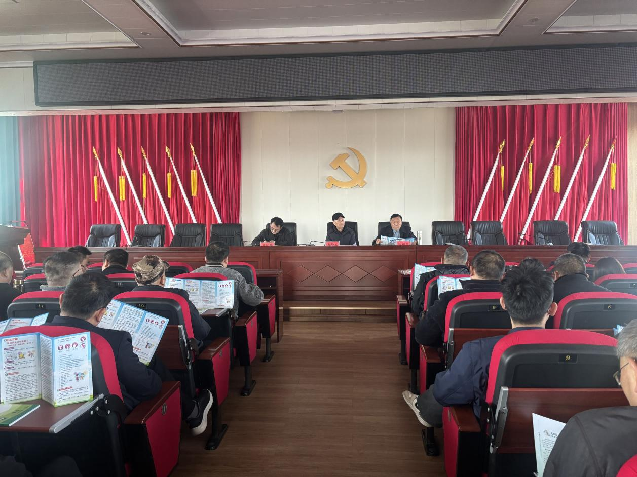 洞口县禁毒协会与毓兰镇联合开展禁毒宣传活动