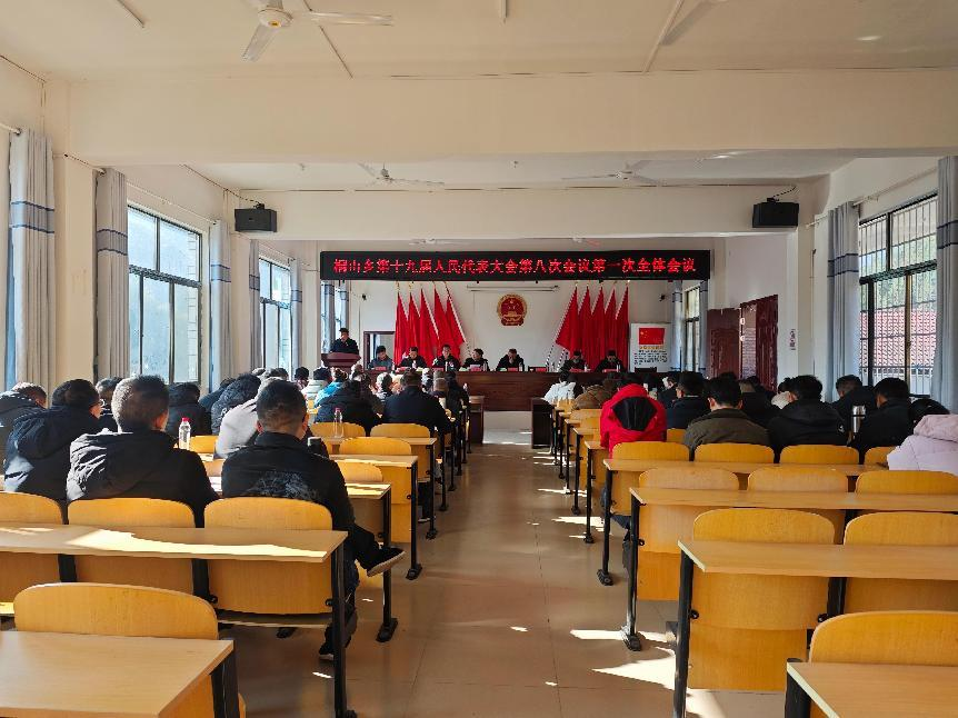 洞口县桐山乡第十九届人民代表大会第八次会议圆满召开