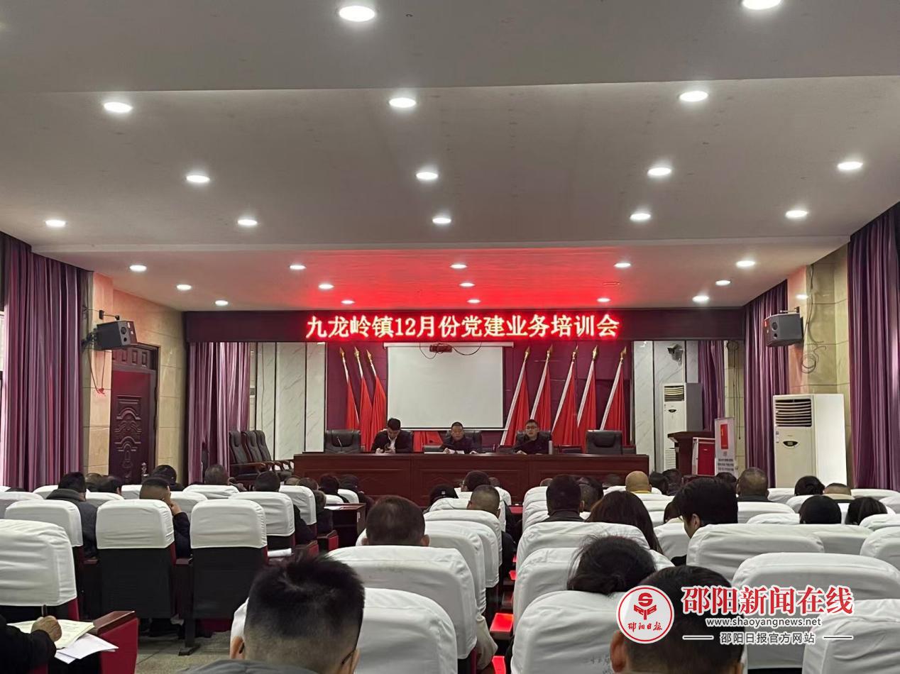 邵东市九龙岭镇召开12月份党建业务培训会