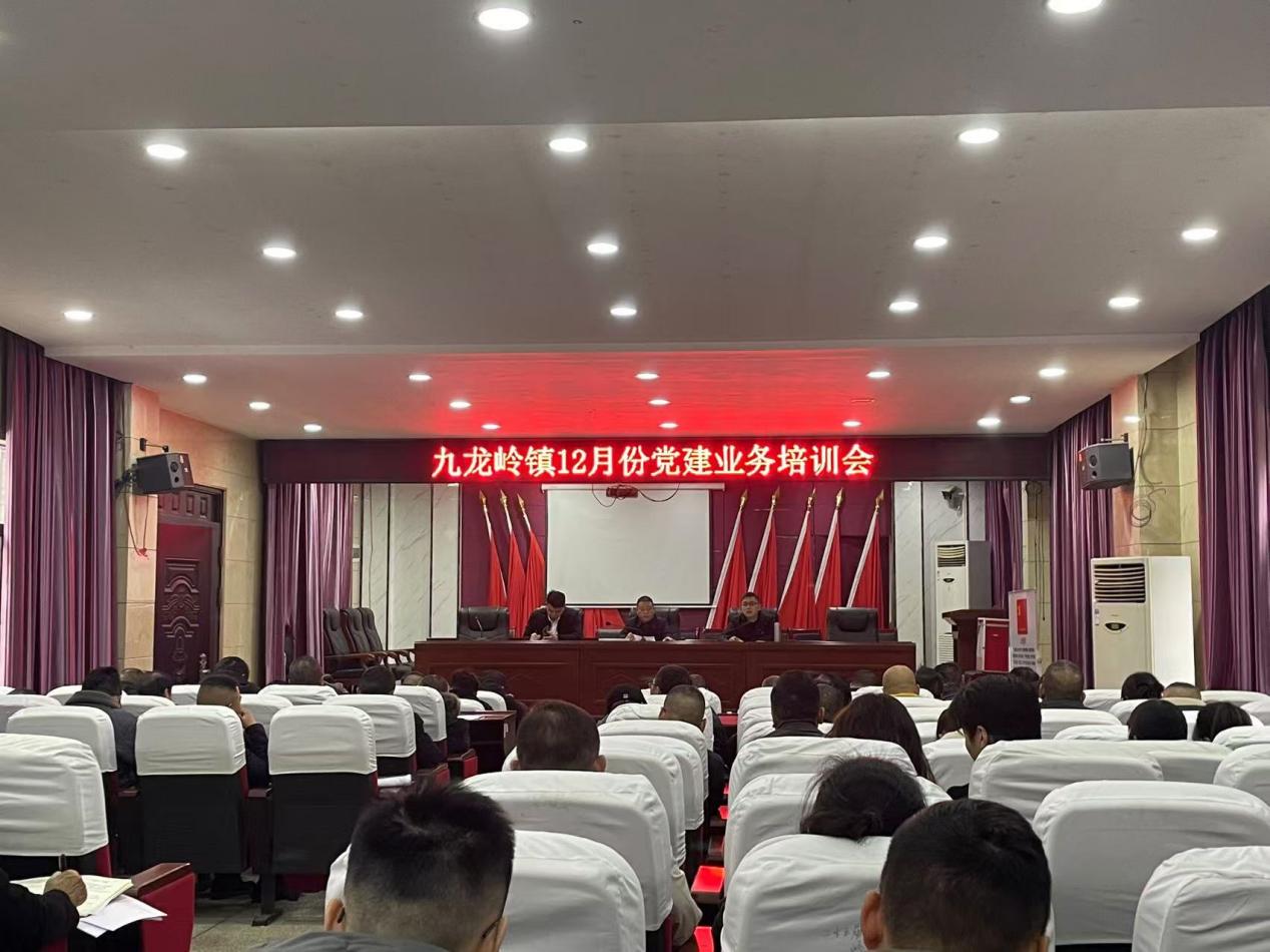 邵东市九龙岭镇召开12月份党建业务培训会