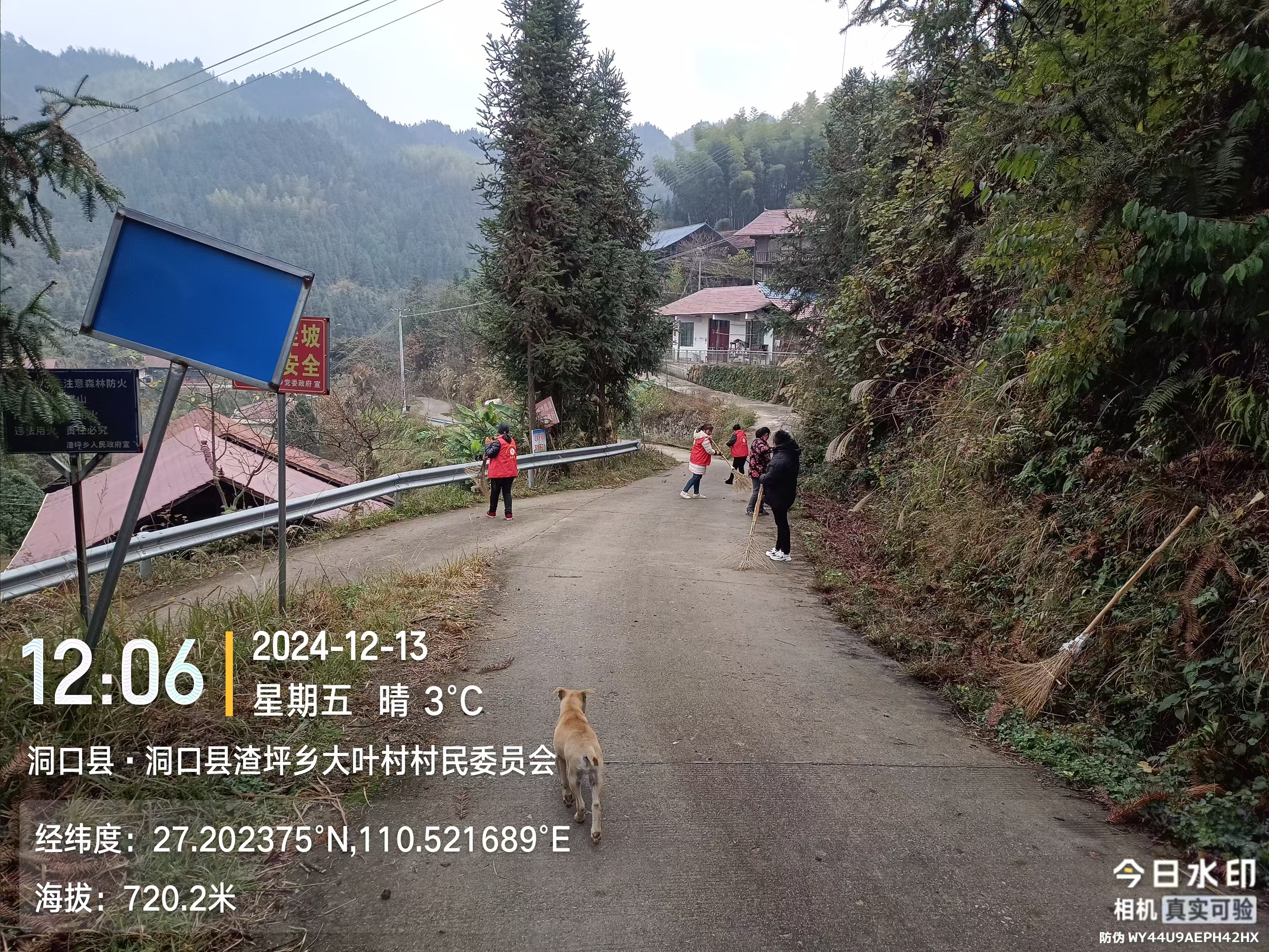 洞口县渣坪乡大叶村：乡村振兴路，环境卫生行
