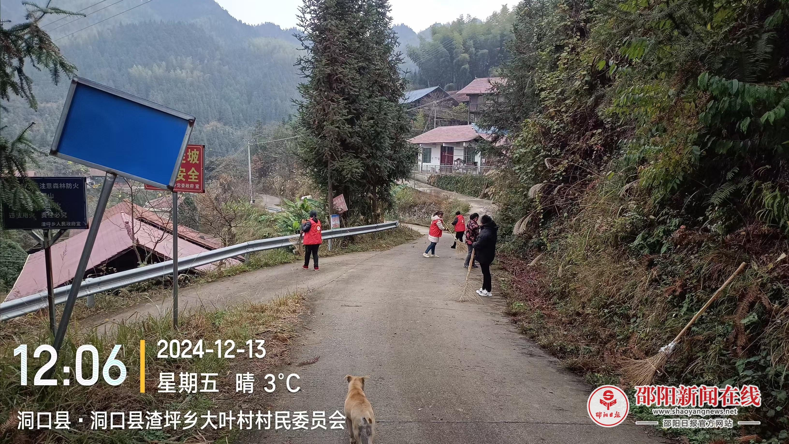 洞口县渣坪乡大叶村：乡村振兴路，环境卫生行