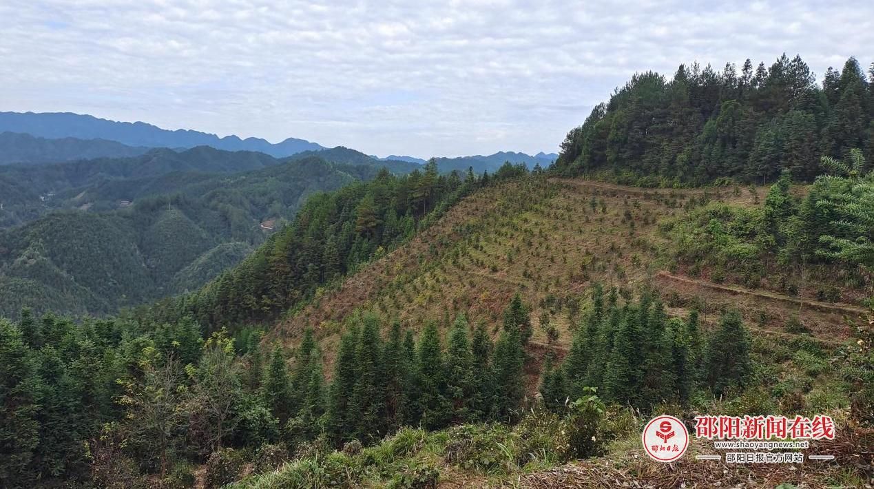 洞口县渣坪乡大叶村：走上知识引领 乡村振兴之路