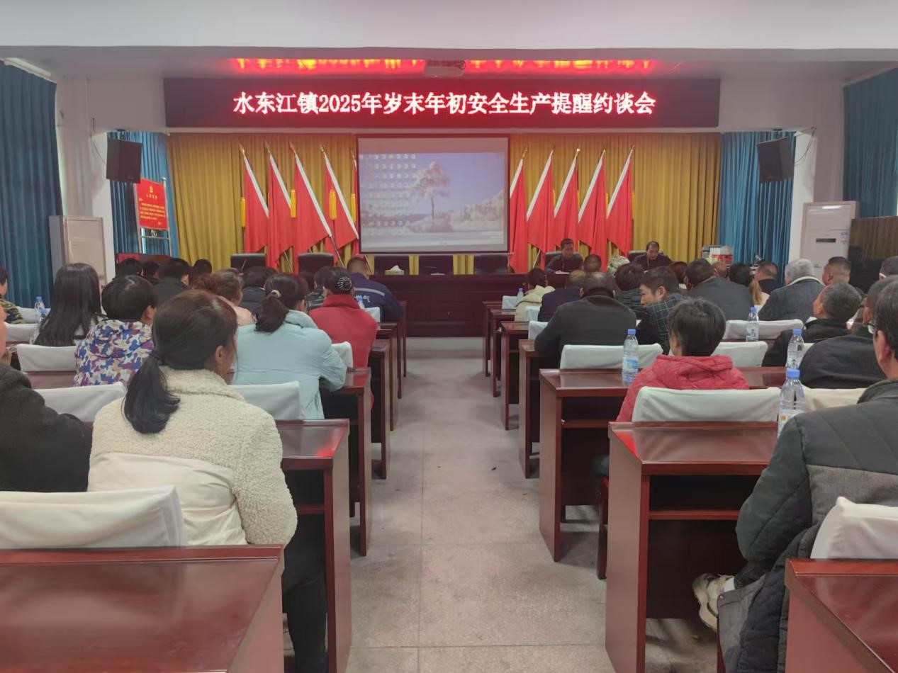 邵东市水东江镇织密岁末年初“防护网”