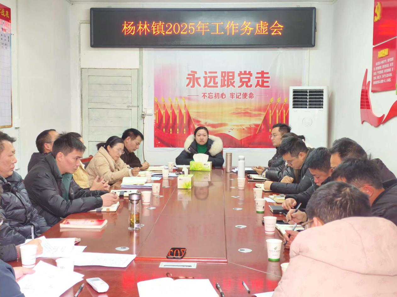 洞口县杨林镇召开2025年工作务虚会