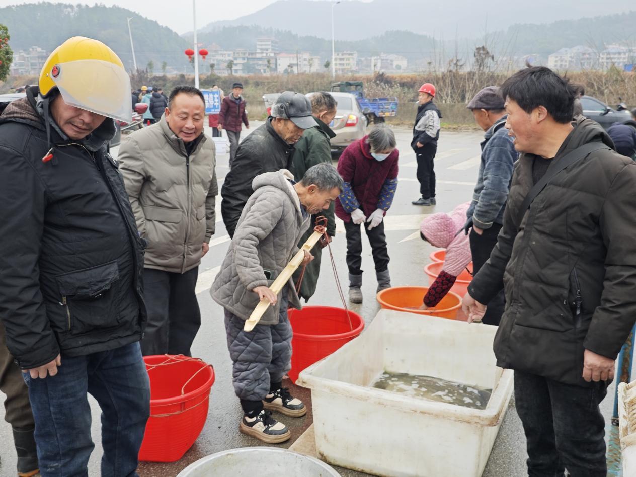 邵东市佘田桥镇：人间最美烟火气，政府门前大市场