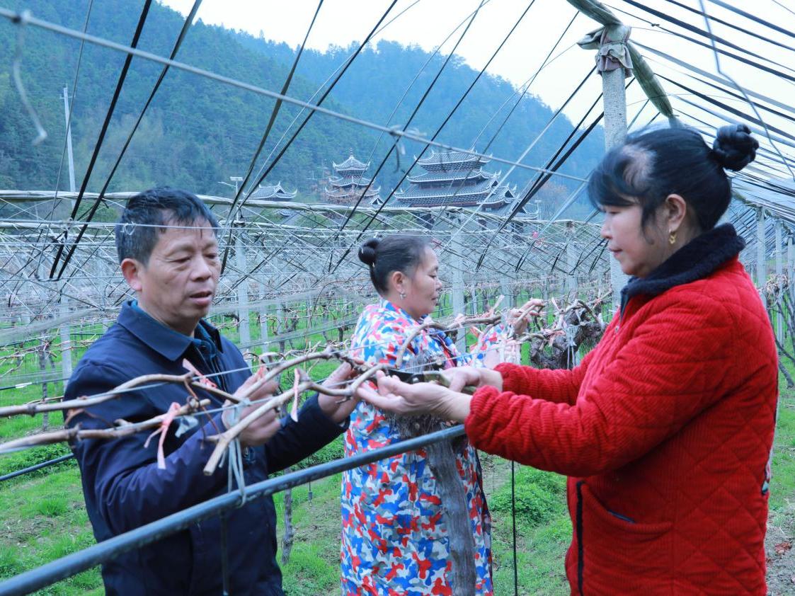 绥宁东山乡开工早复产快