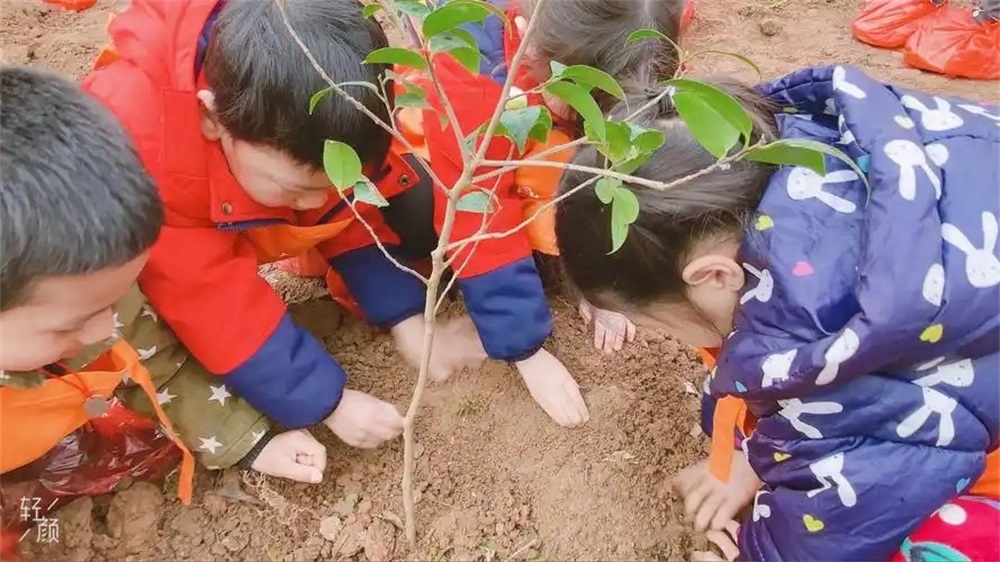 洞口县竹市镇中心幼儿园开展植树节活动