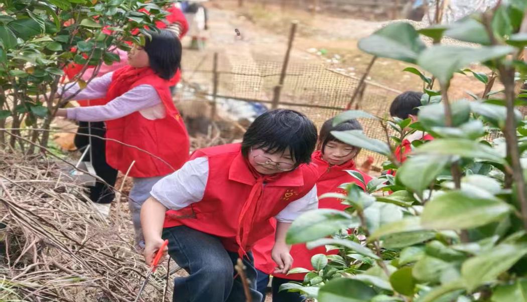 新宁县安山乡中心小学开展“学雷锋 我行动”清洁环境卫生志愿活动