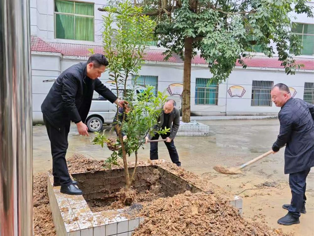 共植新绿，凝聚团队——洞口县石江镇中心卫生院开展党员植树活动