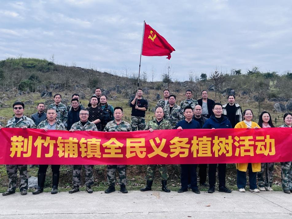 武冈市荆竹铺镇开展春季义务植树活动