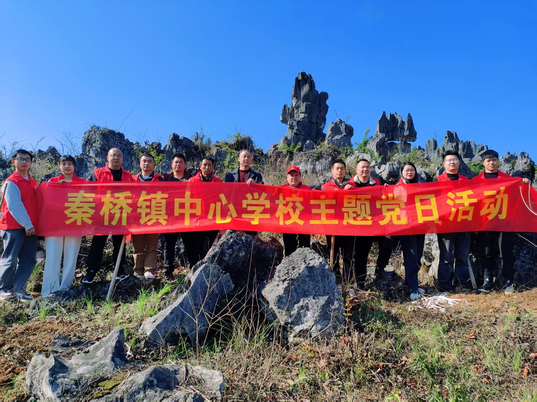武冈市秦桥镇中心学校开展植树活动