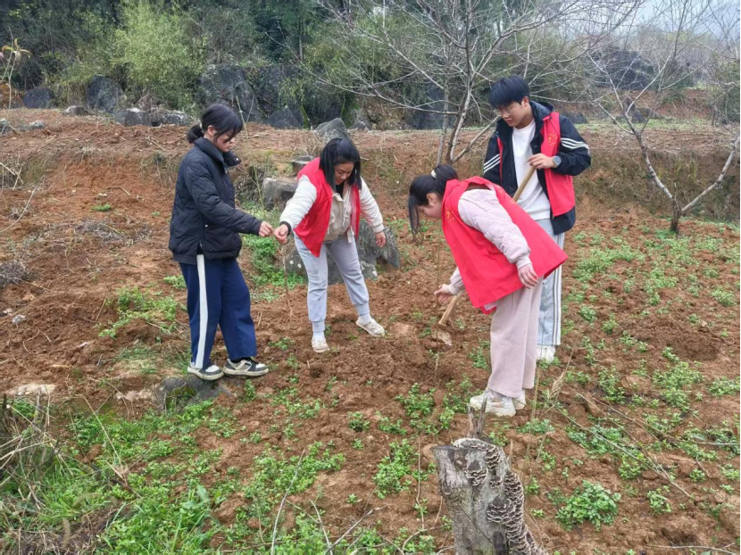 武冈市邓家铺镇白羊小学开展植树节活动