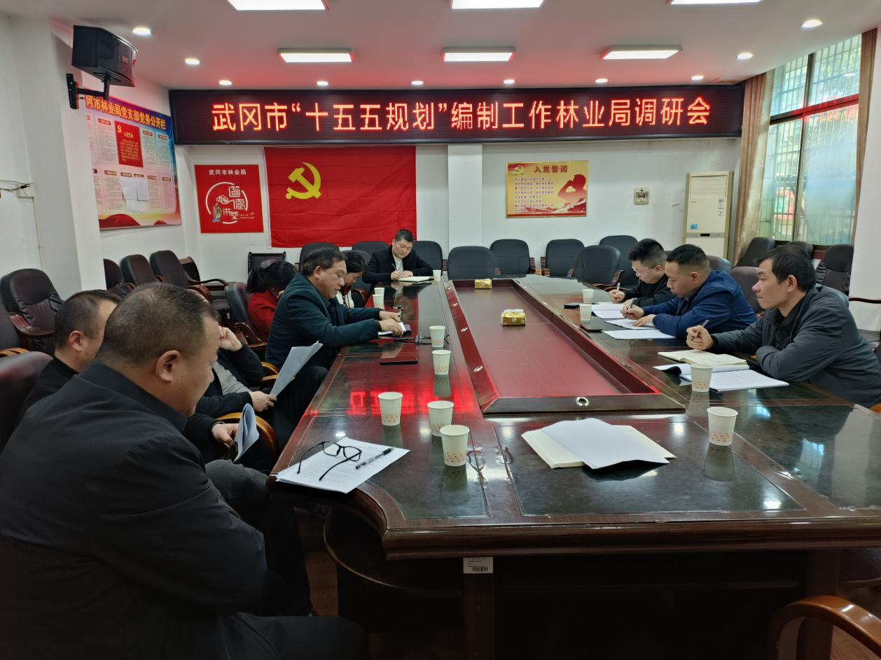 武岡市林業(yè)局召開(kāi)“十五五”規(guī)劃編制工作調(diào)研會(huì)