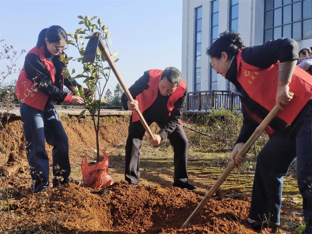 洞口县第二芙蓉学校举行植树活动:植绿护绿践初心，党建引领志愿红