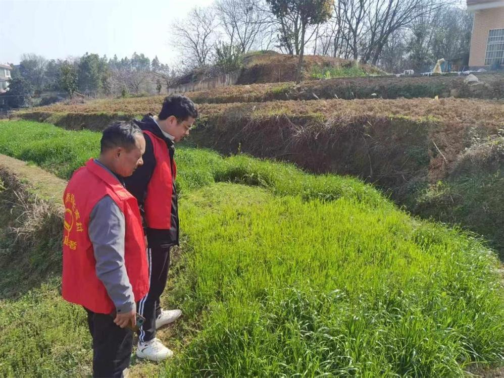 邵东市仙槎桥镇：打响禁种铲毒攻坚战，共筑绿色无毒家园