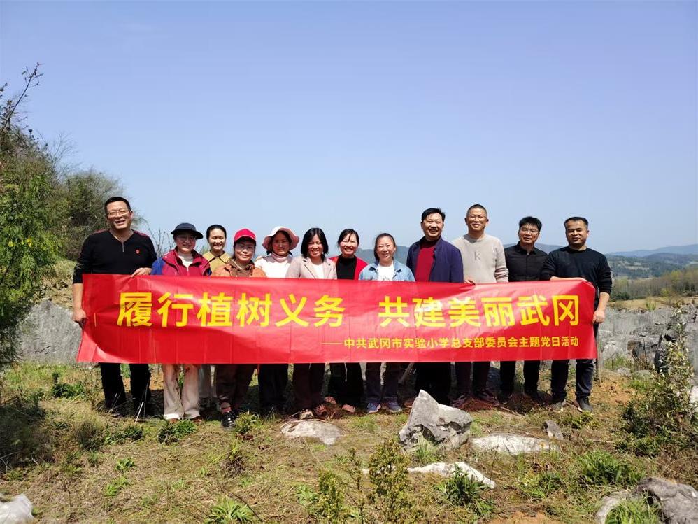 武冈市实验小学党支部开展义务植树活动