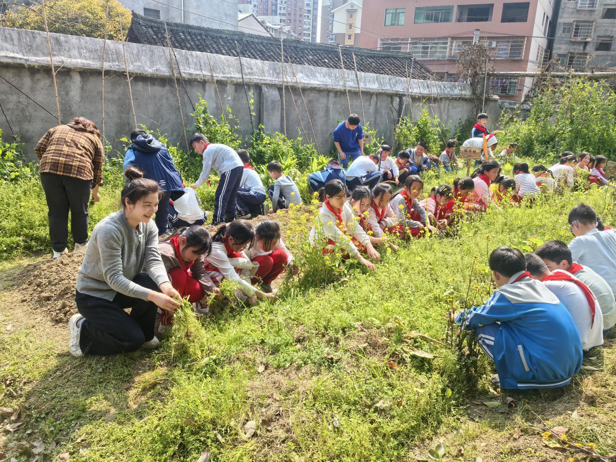 ​绥宁长铺镇第一小学“大手牵小手”党建劳动实践活动圆满举行
