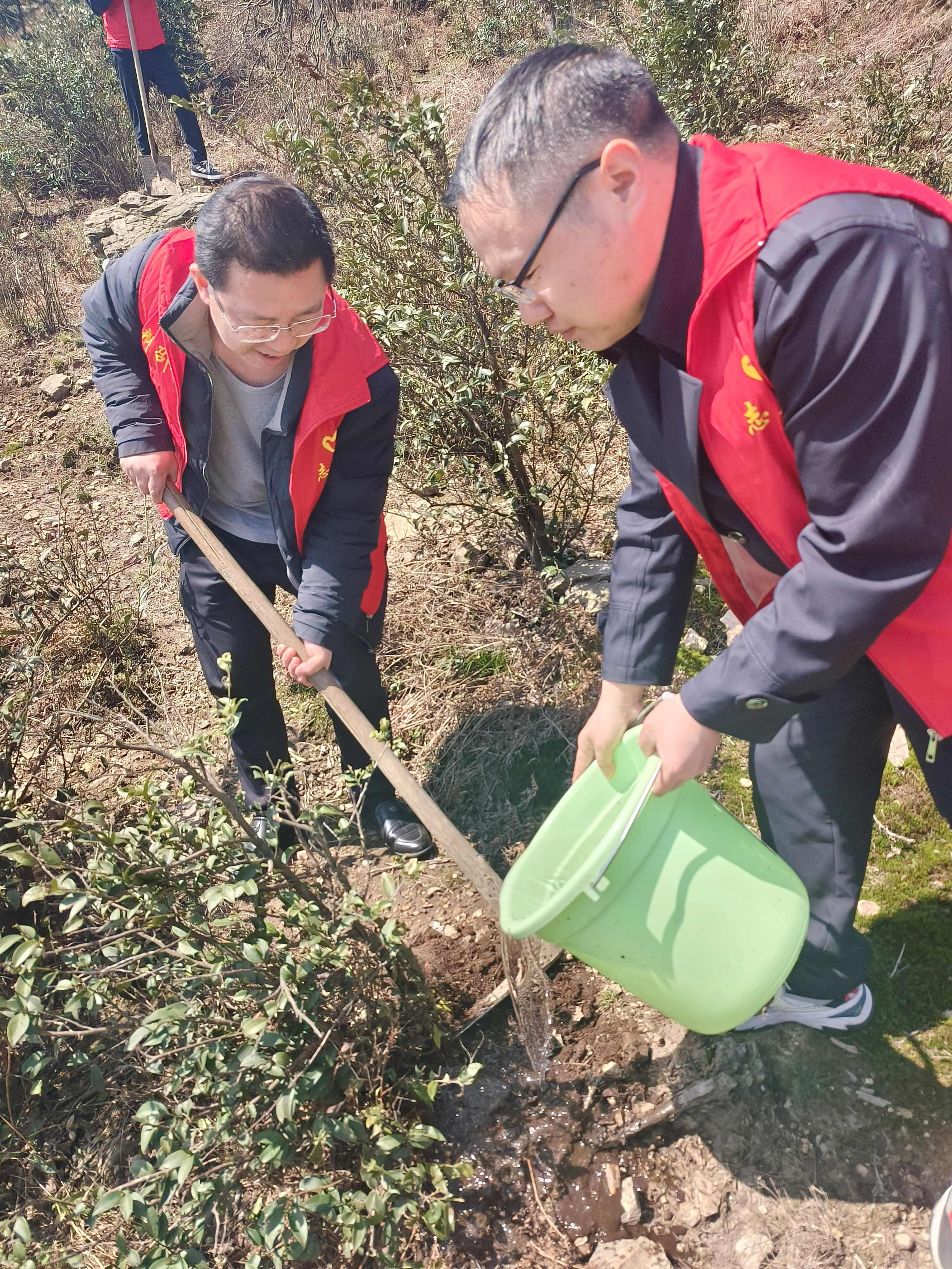 新邵县第四中学开展义务植树党日活动
