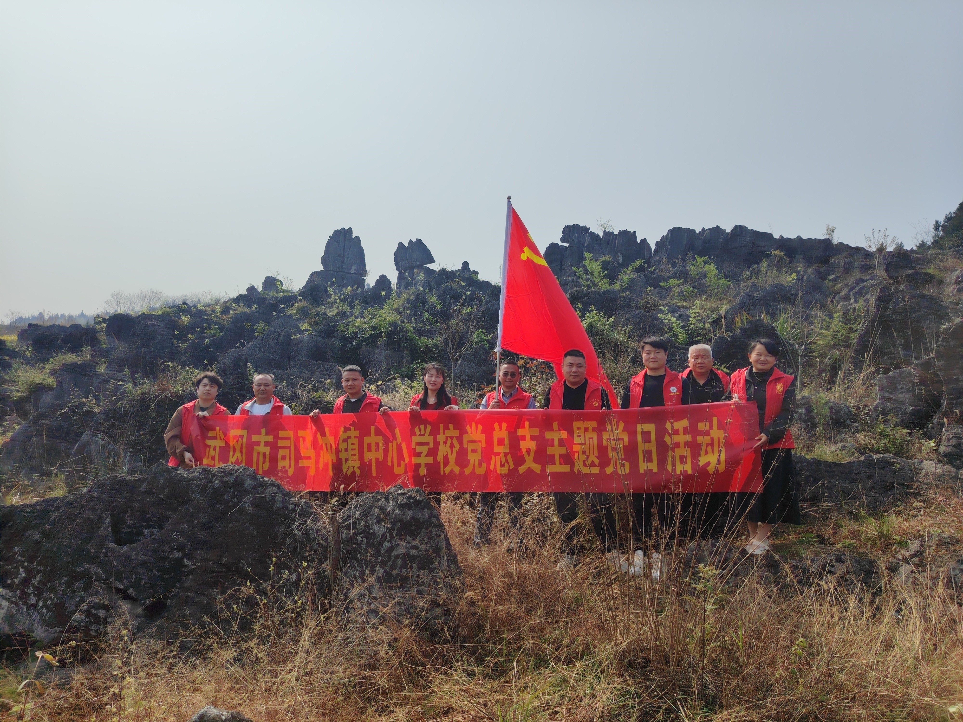 武冈市司马冲镇中心学校党总支部开展“义务植树”主题党日活动