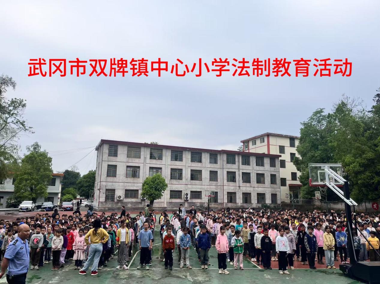 武冈市双牌镇中心小学开展校园法治教育活动