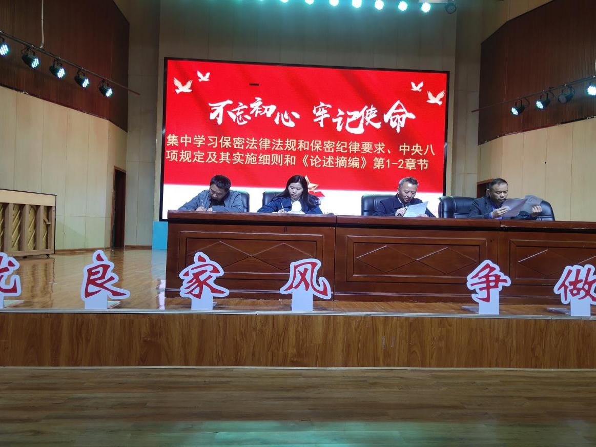 武冈市思源实验学校开展主题党日活动