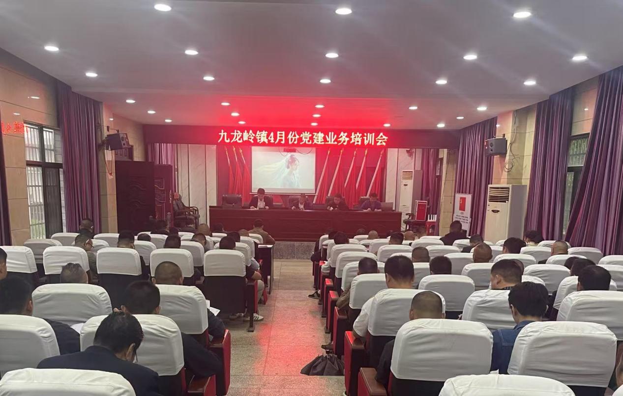 邵东市九龙岭镇召开4月份党建工作业务培训会