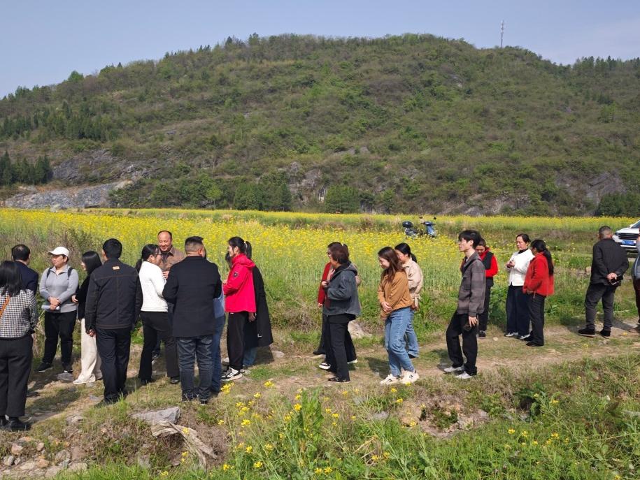 平安财险新邵支公司开展种植技术指导