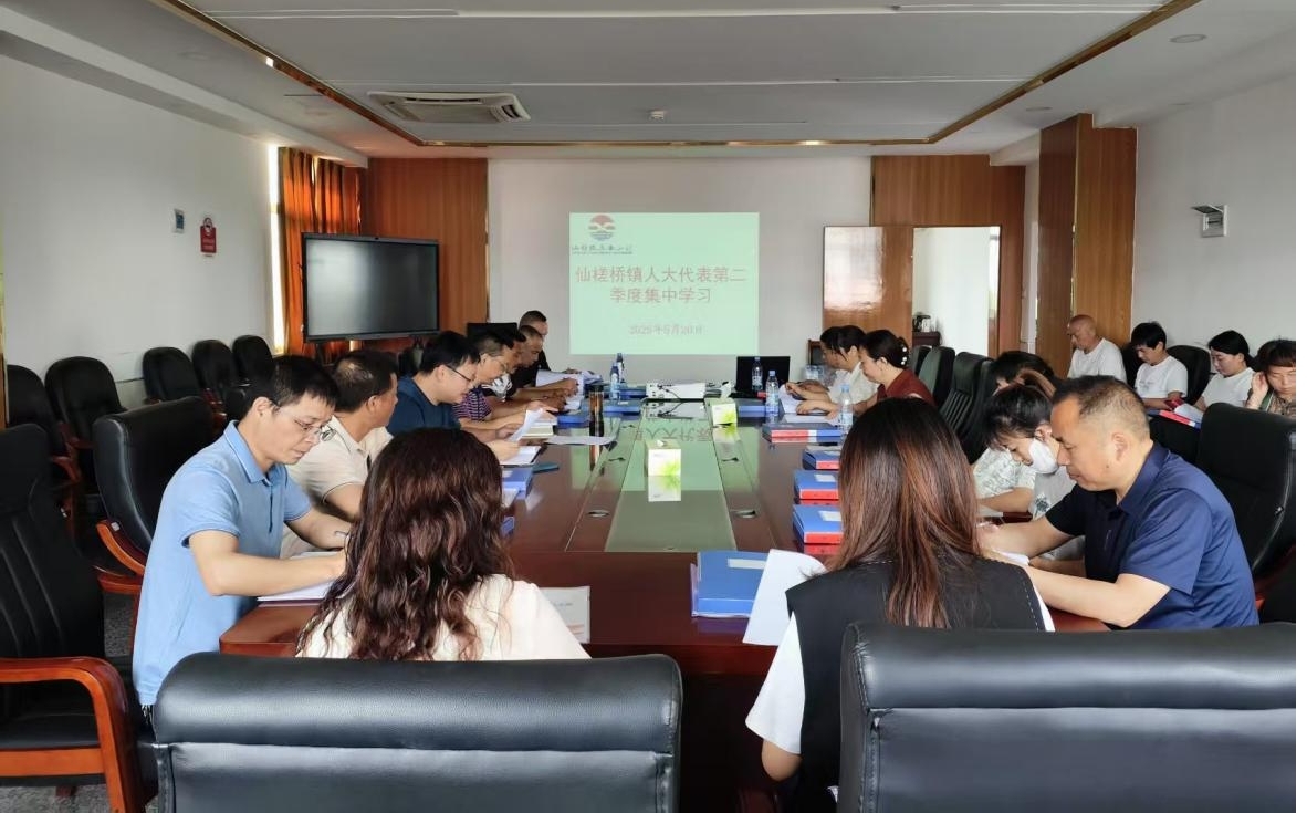 邵东仙槎桥镇组织人大代表开展集中学习