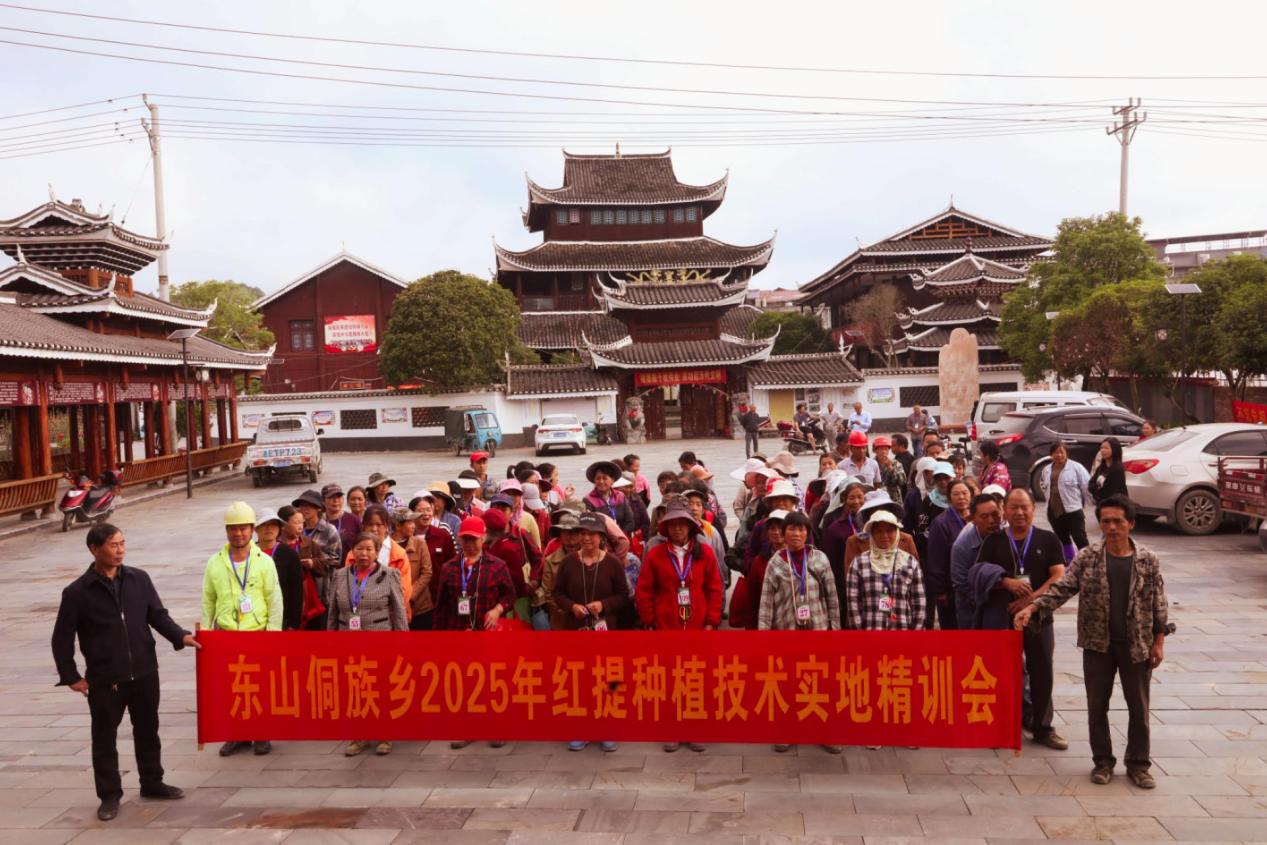 绥宁东山：开展红提培训与疏果比赛助力产业提质增效