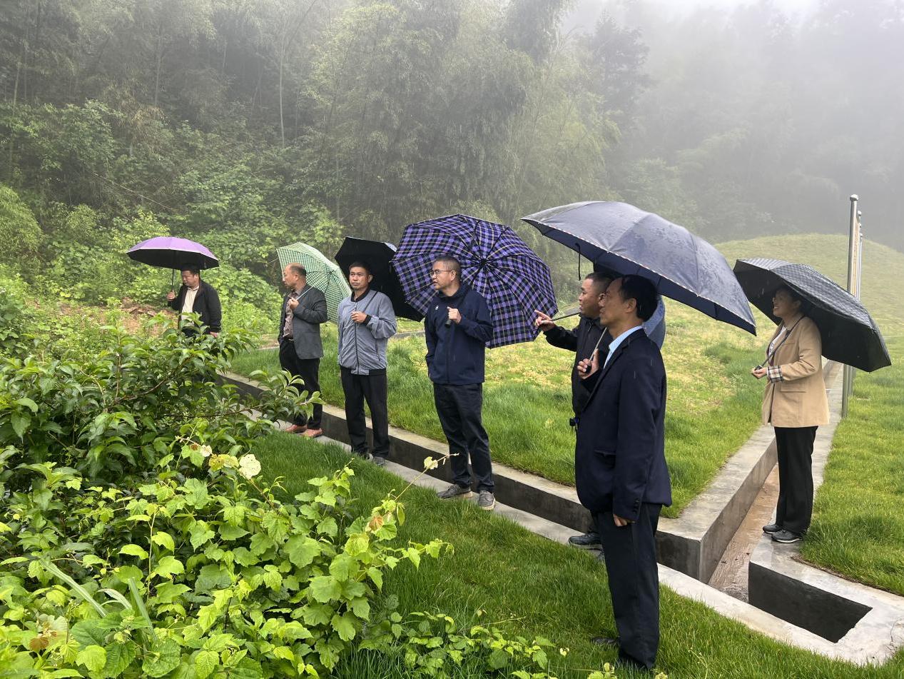 新邵县潭溪镇开展“法治护绿人大行”暨污染防治相关法律法规执法检查活动