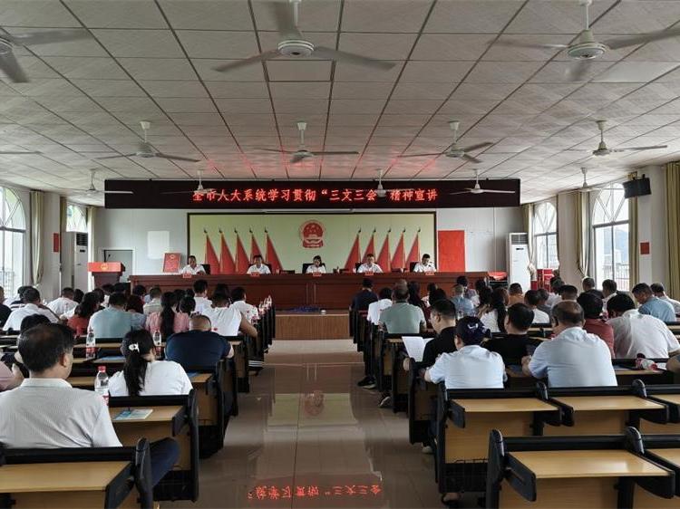 武冈市文坪镇：“三学三抓”提升人大代表履职能力