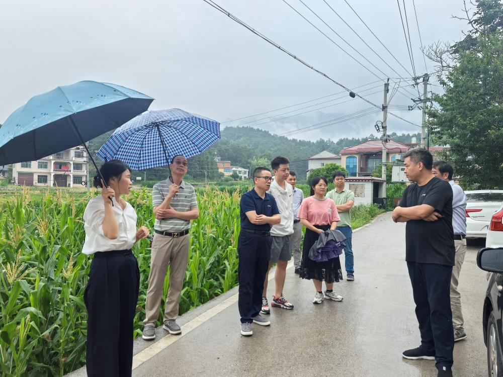 洞口县文昌街道：人大代表聚焦环境污染 守护青山绿水