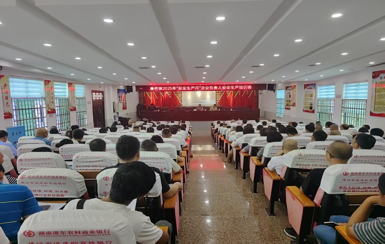 邵东市廉桥镇举行2025年“安全生产月”企业负责人安全生产培训会