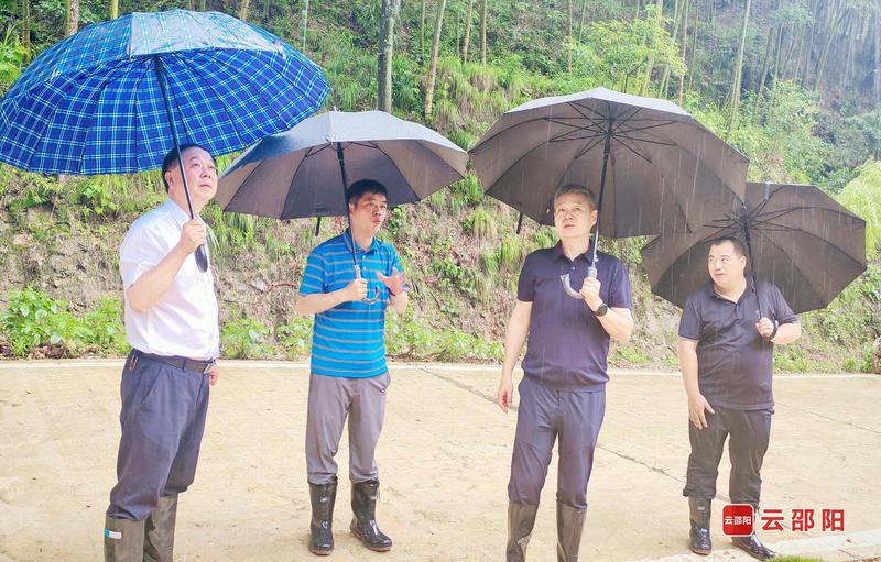 严华在绥宁县巡林并调研：守护绿水青山 赋能绿色发展