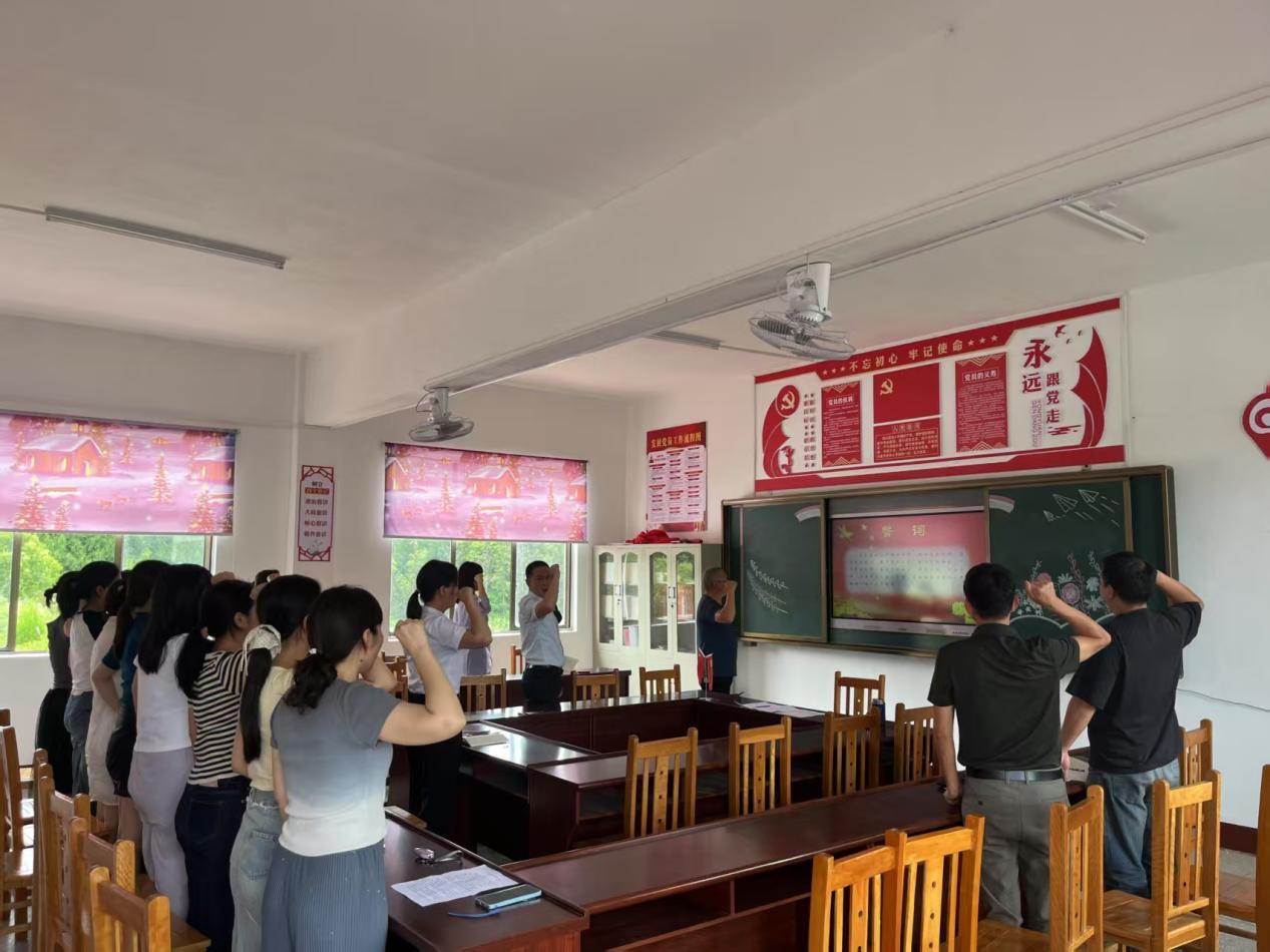 洞口县雪峰街道城东小学开展向党献礼党日活动