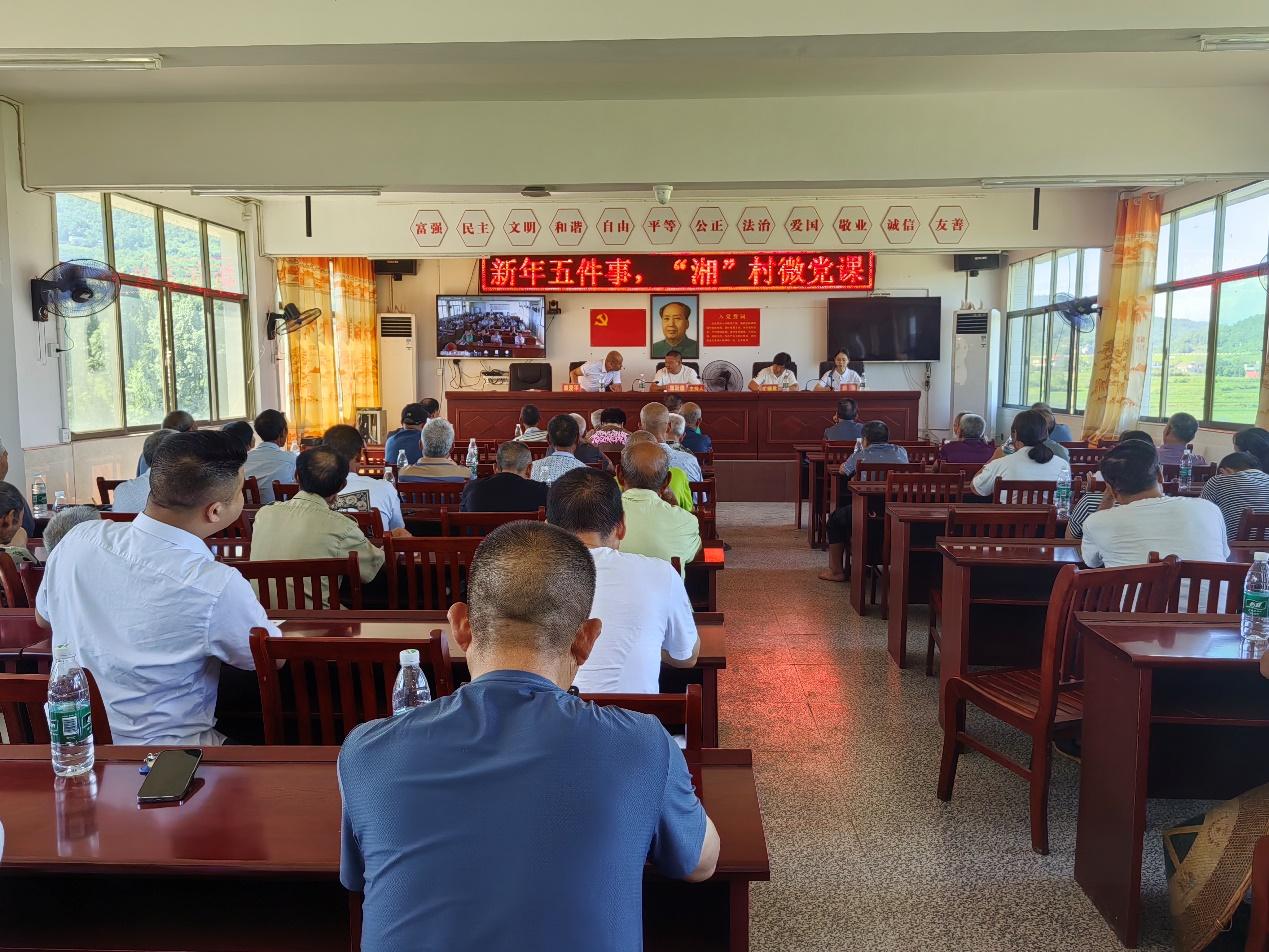 邵阳县选调生开讲“湘”村微党课 解锁乡村治理“枫桥密码”