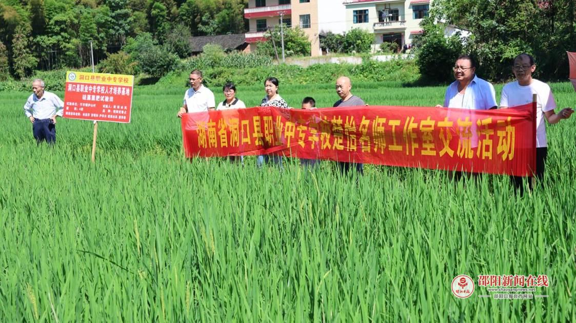 微信图片_20250704160936